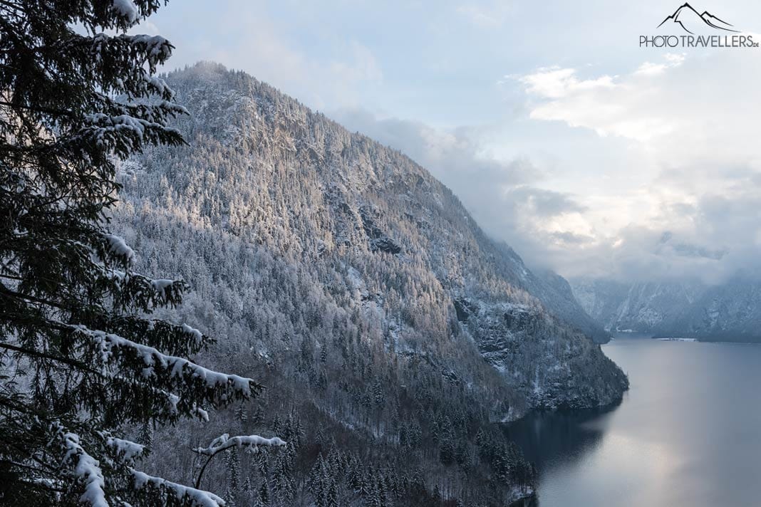 Der Blick von der Rabenwand auf den Königssee im Winter mit den verschneiten Bäumen