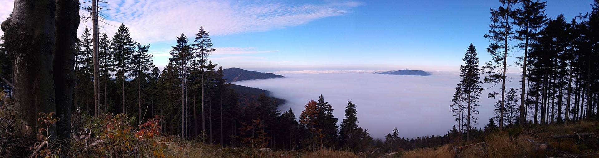 Wanderurlaub im Bayerischen Wald – Wellnesshotel Zum Bräu