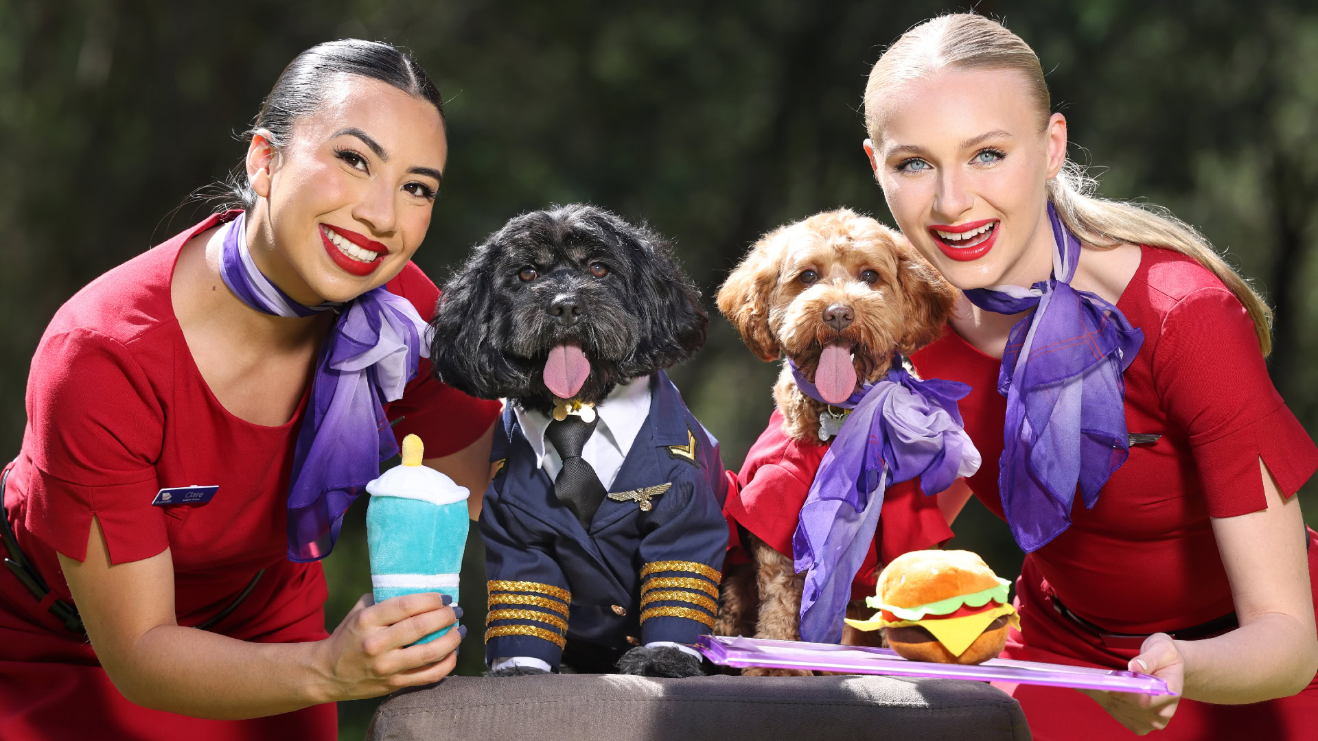Virgin Australia Takes Off With Pet-Friendly Flights This October (Here’s What It’ll Cost)