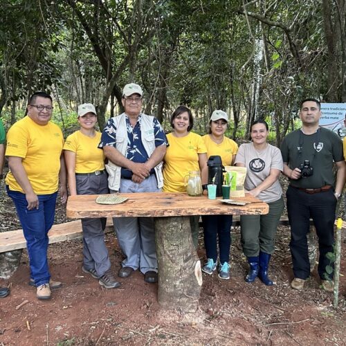 Schutz des letzten verbleibenden atlantischen Regenwalds in Paraguay
