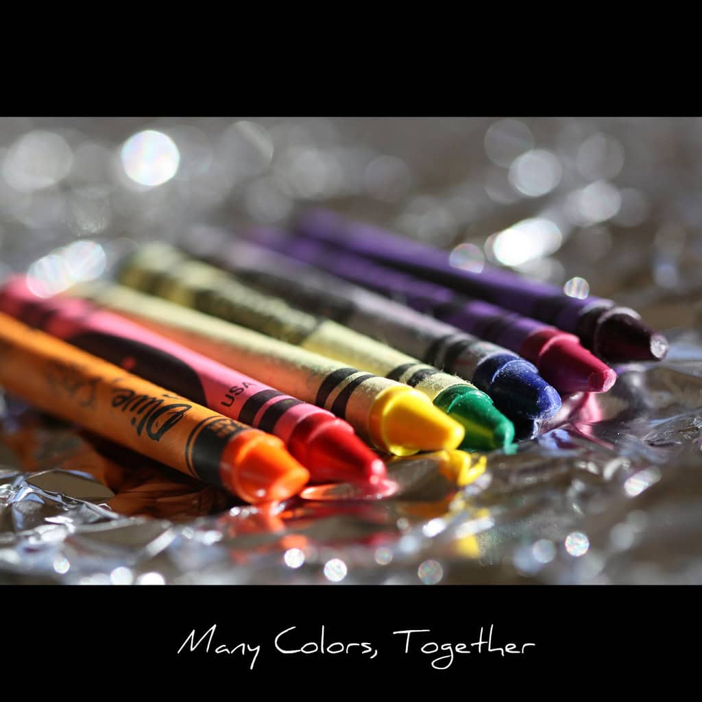 No se trata de multiculturalidad sino de multitud de herramientas mentales