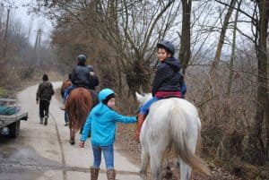 41969720_1938060569573668_4236471207228080128_n