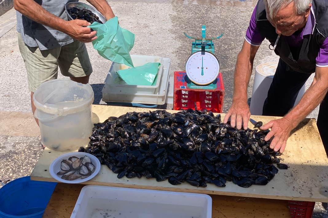 Muscheln am Fischmarkt