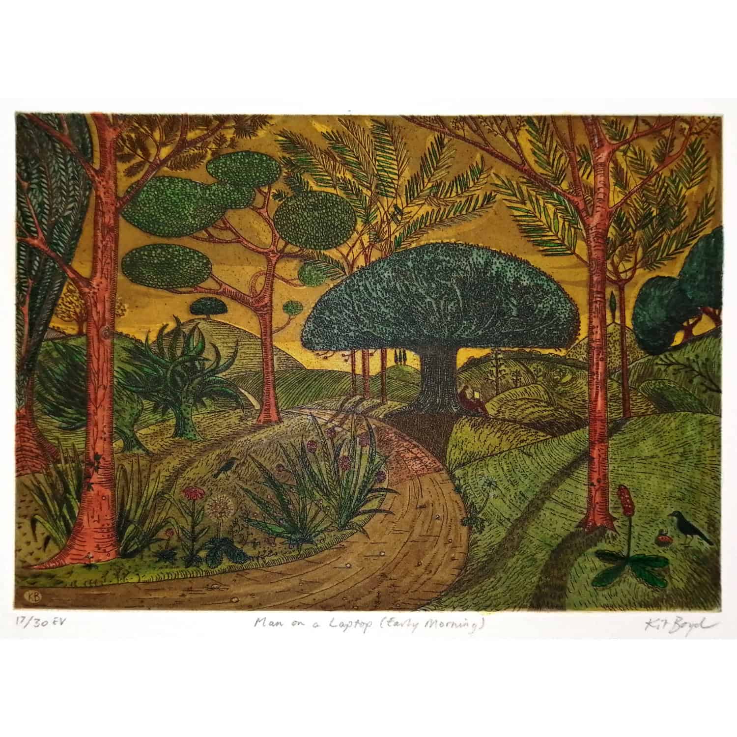 2492C Man on a Laptop Early Morning 17/30 – Kit Boyd