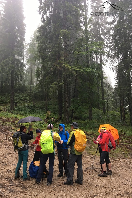 Mehrere Teilnehmer der Wanderleiter-Ausbildung stehen im Regen im Bergwald im Kreis