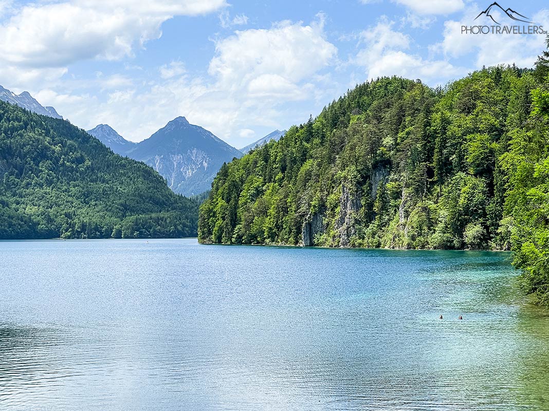 Zwei Schwimmer im Alpsee