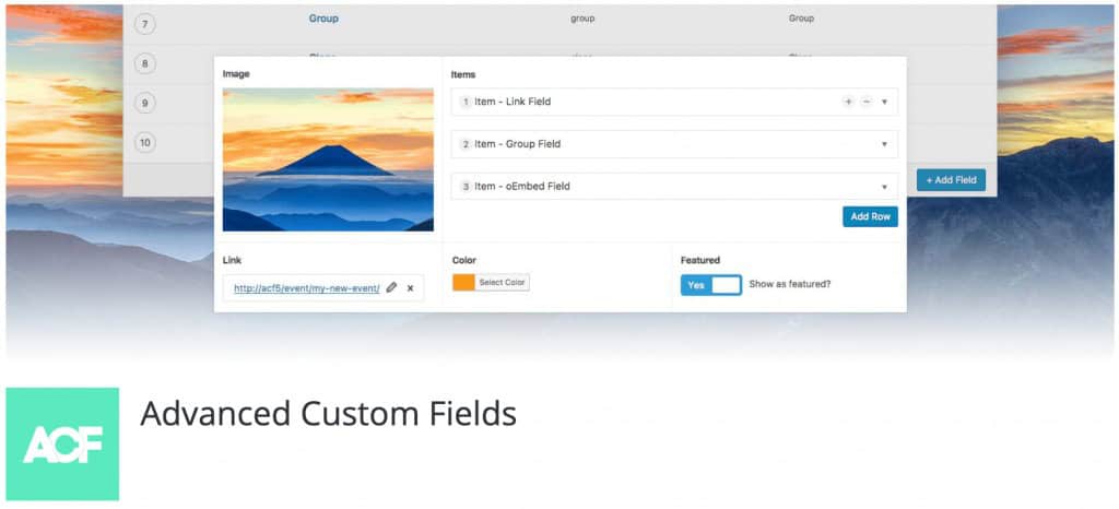 Advanced custom fields (ACF) plugin