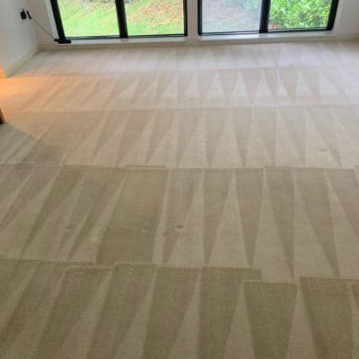 Residential Carpet Cleanner