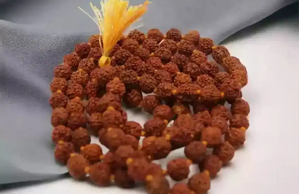 Best Astrologers in India