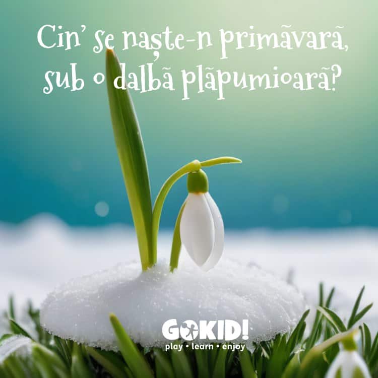 ghicitori scurte cu flori ghiocei