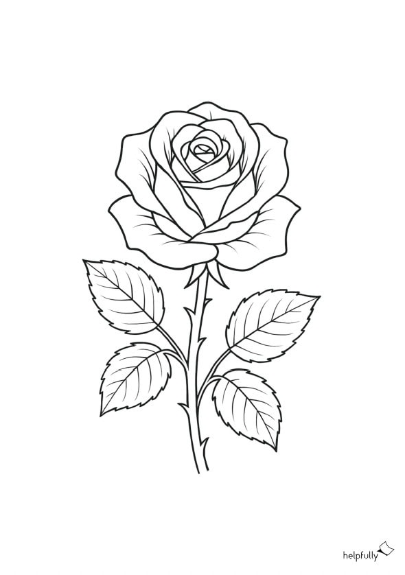Rose zum Ausdrucken und Ausmalen