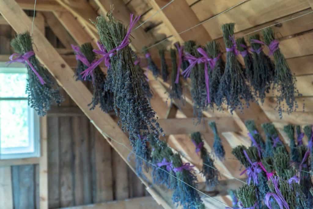 Warmia nie zawsze święta