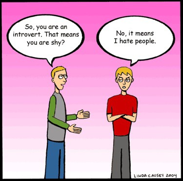 gifted introvert test gifted introvert test