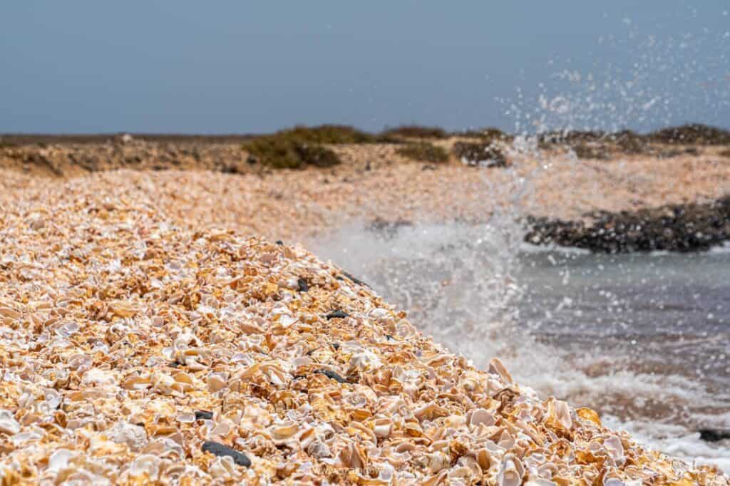 wyspy zielonego przylądka