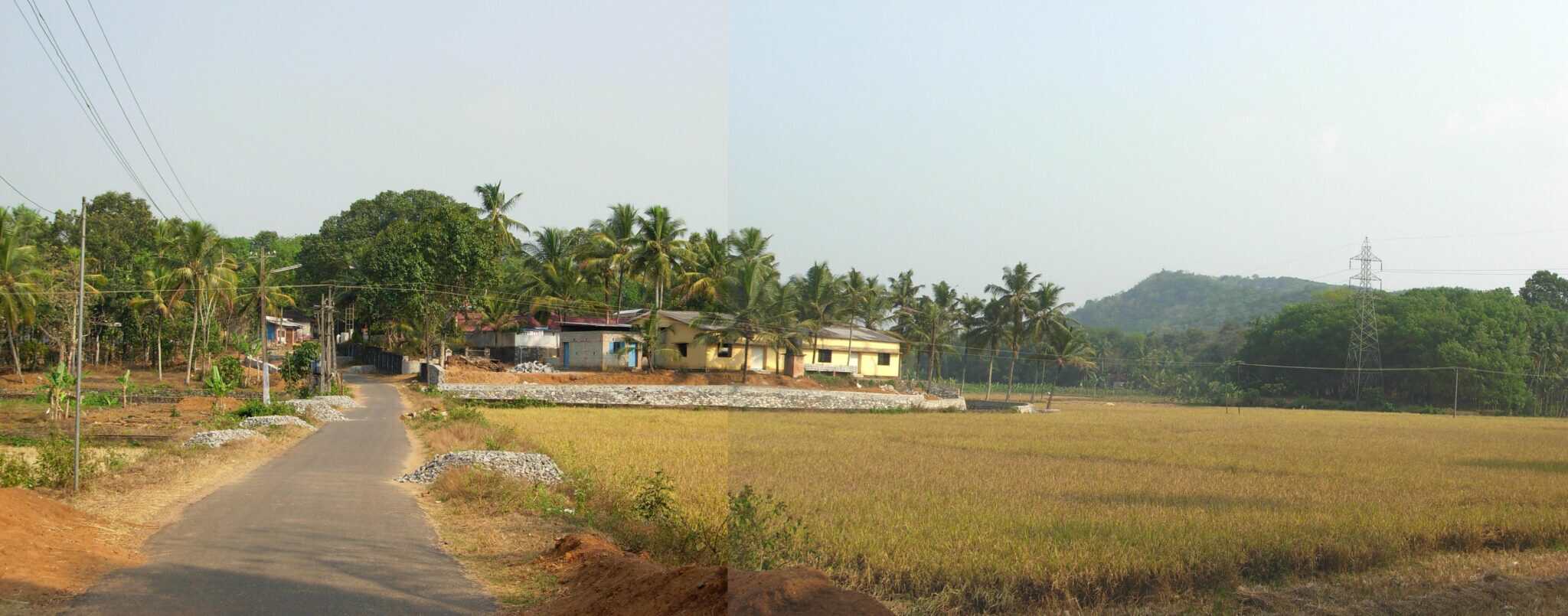 Elanthoor village area, Kerala