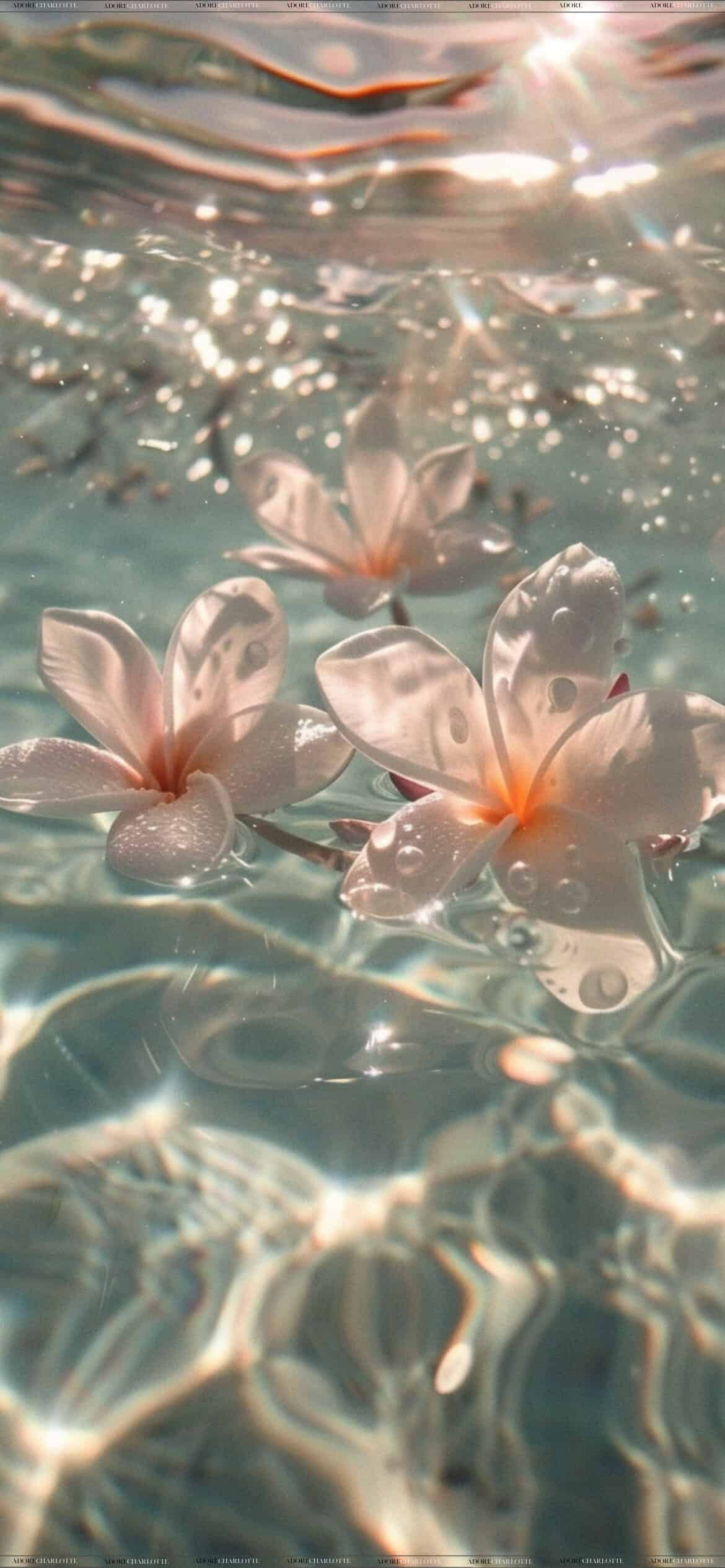 25 Aesthetic Flowers in Water Phone Wallpaper: 4K Tropical Dream ...