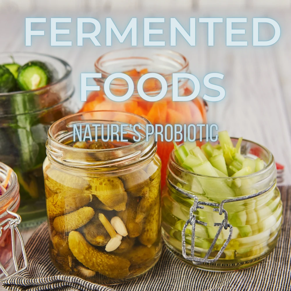 Fermented Foods Nature Probiotic