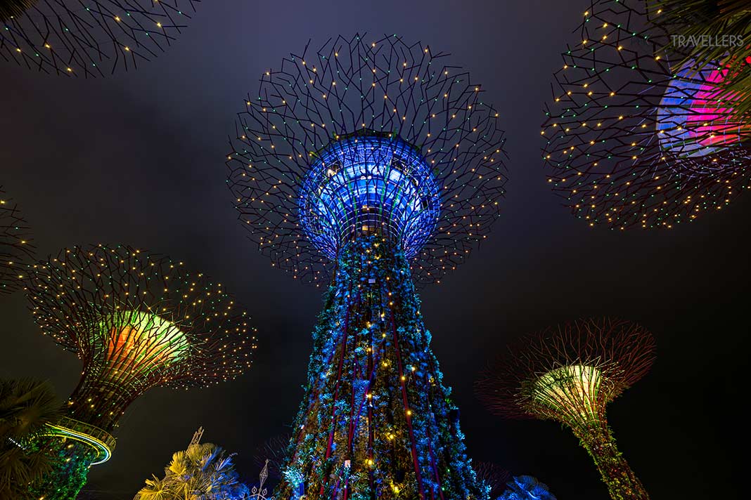 Die Supertrees in den Gardens by the Bay in Singapur bei Nacht