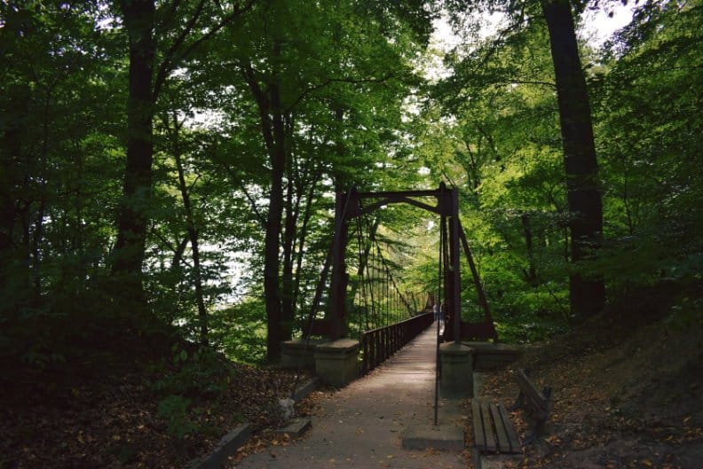 Aleea de Cura Balneara Calimanesti Aleea Geniului pod 2
