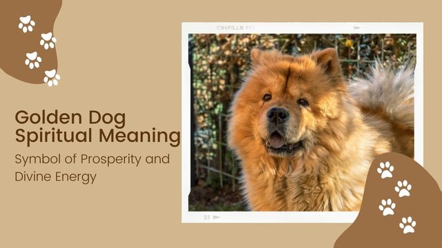 golden dogs help manifest prosperity