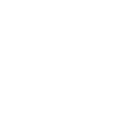 logowit thijsart