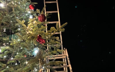 Tannenbaum für 2022