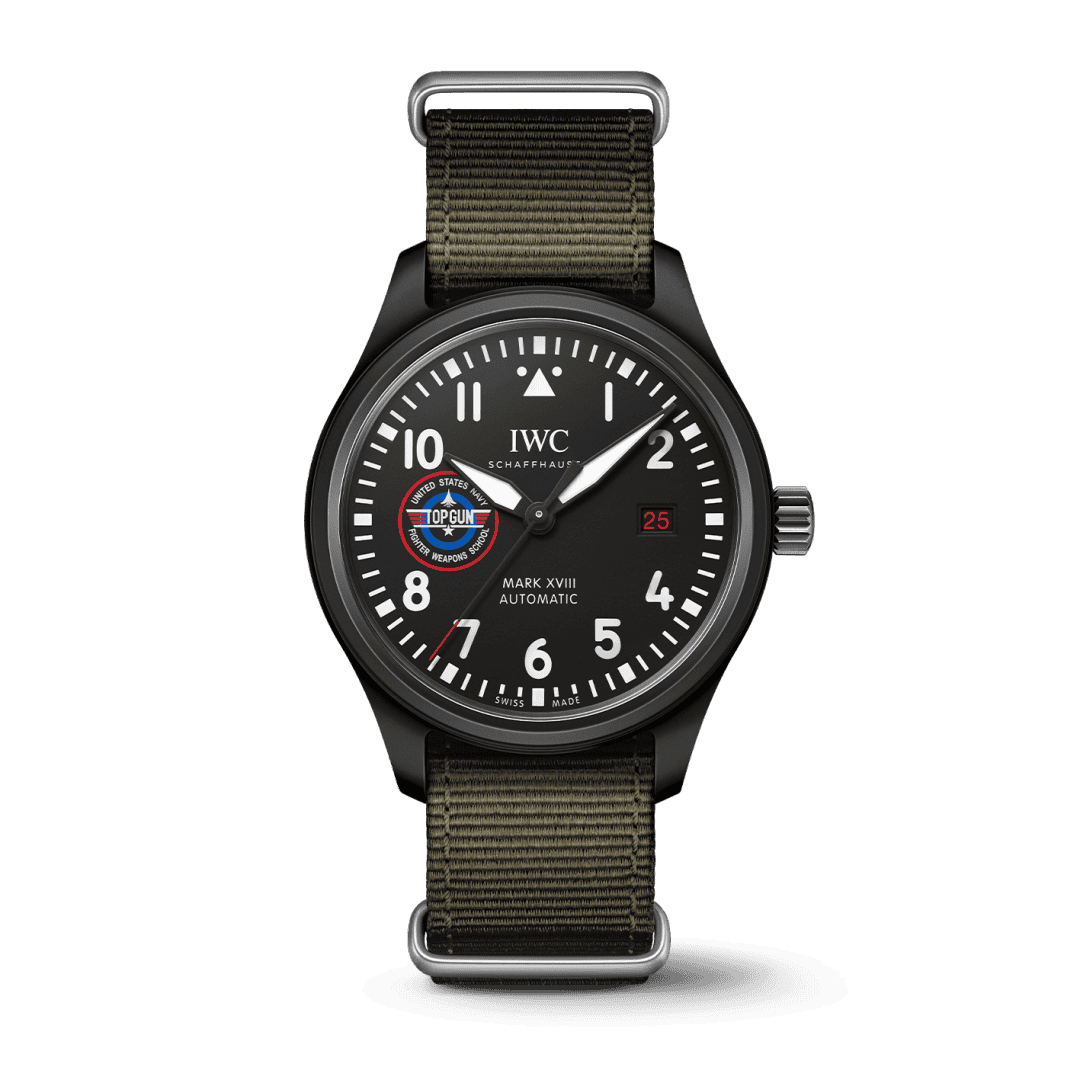 IWC top gun school