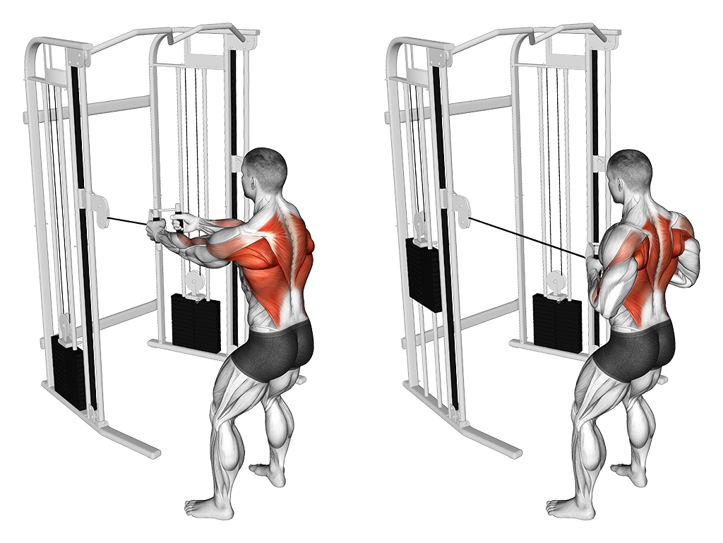 Standing Cable Row Best Lat Exercises