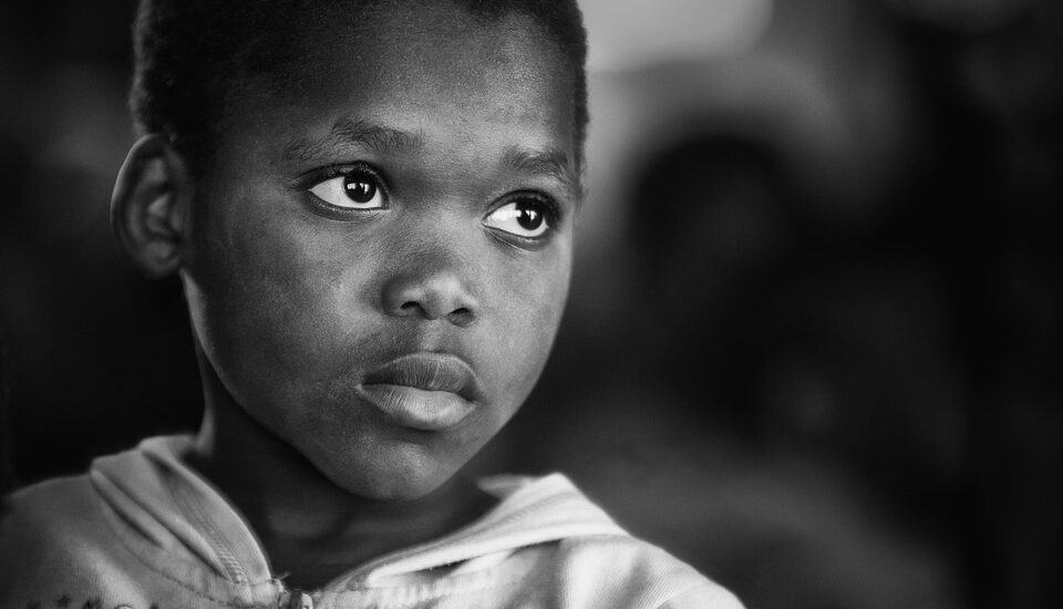 youth and education in brics: shaping tomorrow's leaders