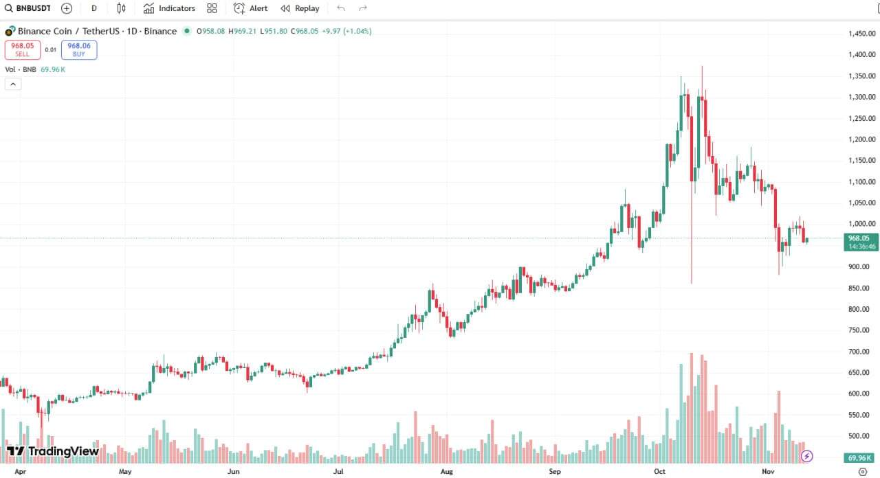 Why BNB is going down today? 22 BNB chart