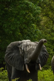 Ghana, Africa destinations