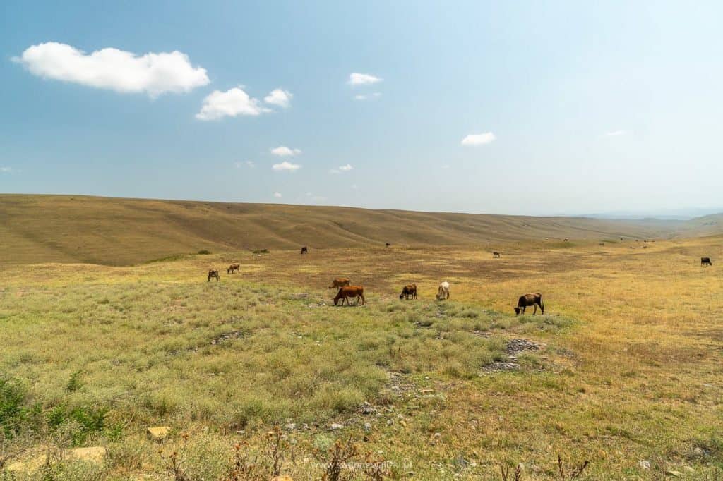 kachetia i najpiękniejsze monastyry