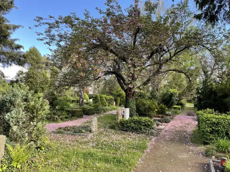 Friedhof Neustadt Magdeburg
