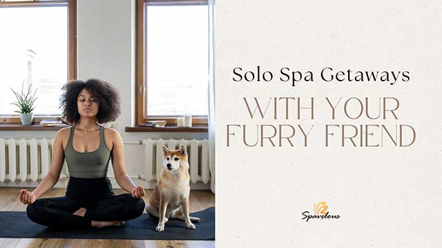 SOLO SPA GETAWAYS WITH YOUR DOG: 6 LUXURIOUS RETREATS FOR YOU AND YOUR FURRY FRIEND 3 dog-friendly spa retreats for solo travelers