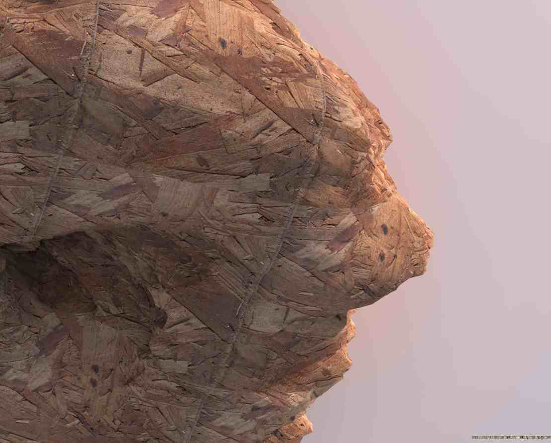 Wood Sculpt