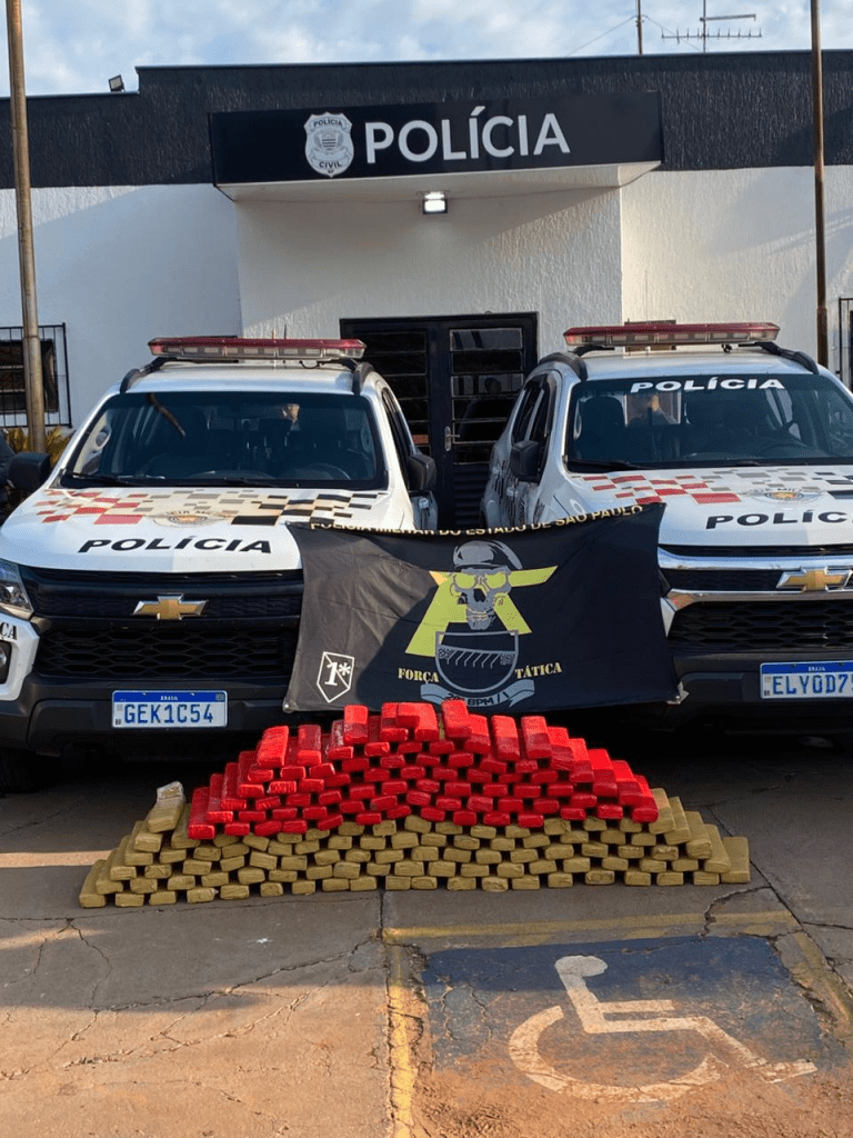 Tráfico de drogas em Castilho SP: Força Tática apreende 165 tabletes de maconha em operação nesta quinta-feira (31)