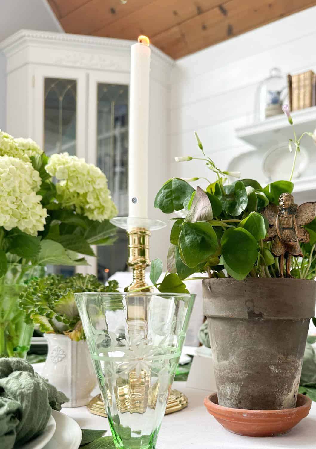 photo of the shamrock plants next to the hydrangea flowers in a green vintage pitcher