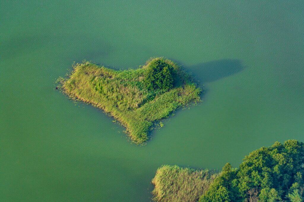 wyspa serce na kisajnie