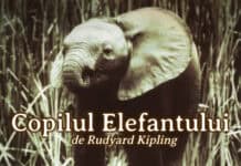 Copilul Elefantului, de Rudyard Kipling. Poveste Terapeutică despre Curiozitate și Explorare copilul elefantului poveste de Rudyard Kipling