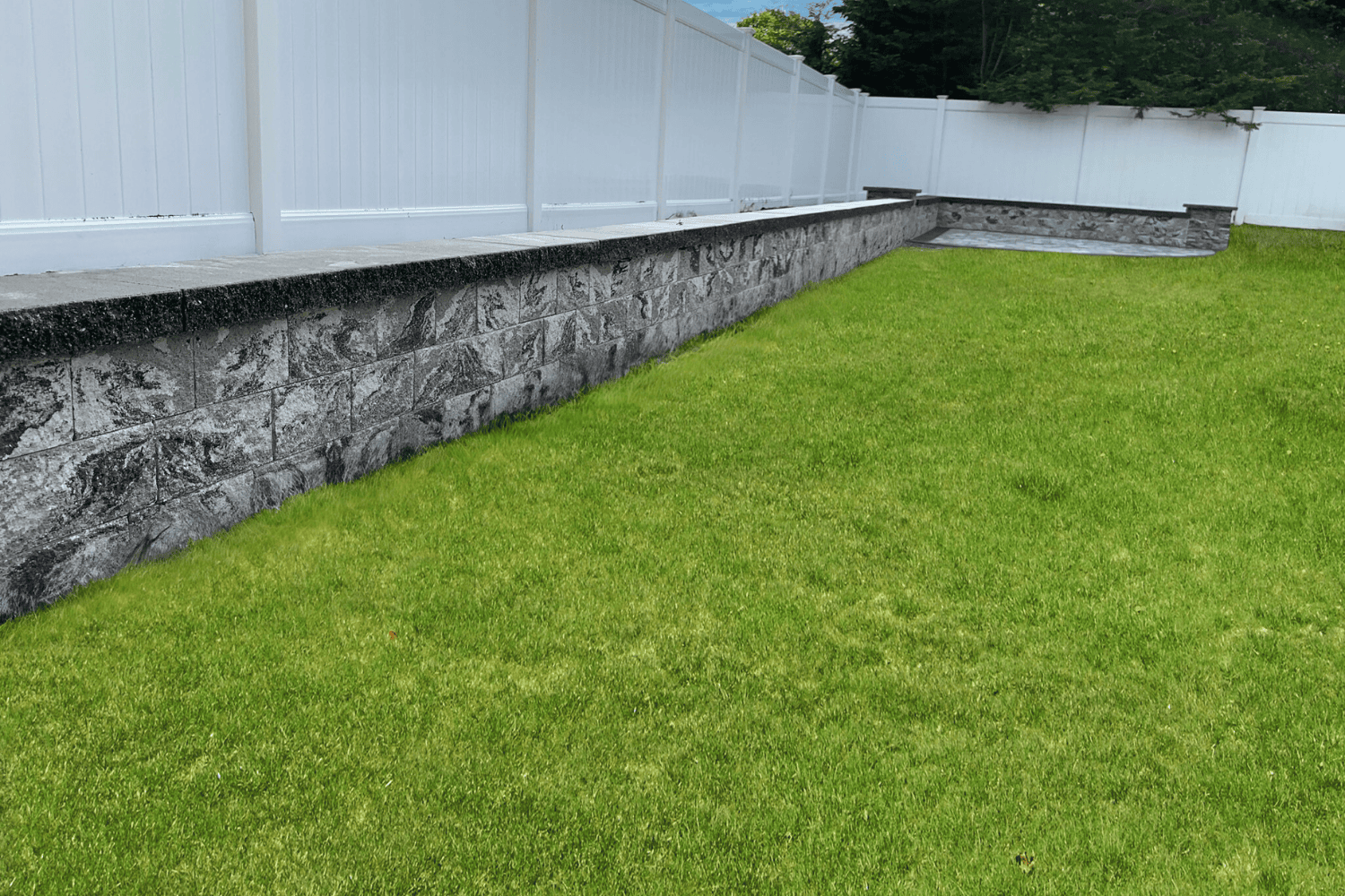 A grassy yard bordered by elegant retaining walls and a white privacy fence, offering both beauty and structure to your outdoor space.
