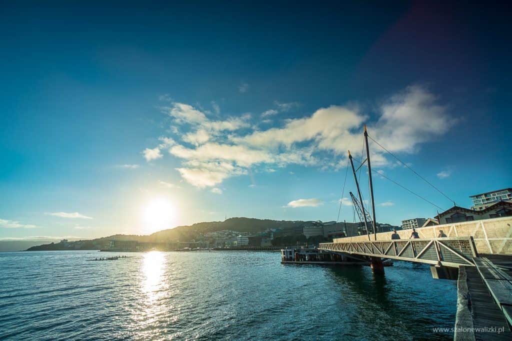 wellington w nowej zelandii