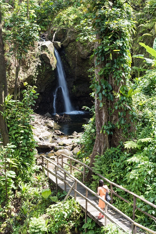Reisebloggerin Biggi Bauer auf einer Holzbrücke im Dschungel, dahinter sind die Jacko Falls zu sehen