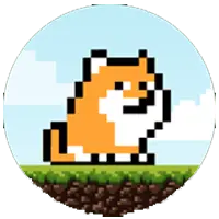crypto airdrop