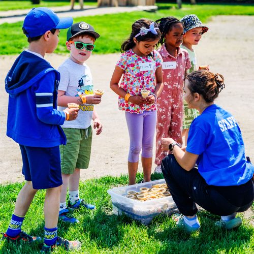 animal cones animal farm animal cones animal farm