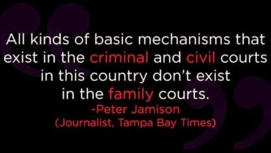 Quote by Peter Jamison: "All kinds of basic mechanisms that exist in the criminal and civil courts in this country don't exist in the family courts." Text in red highlights "criminal", "civil", and "family".