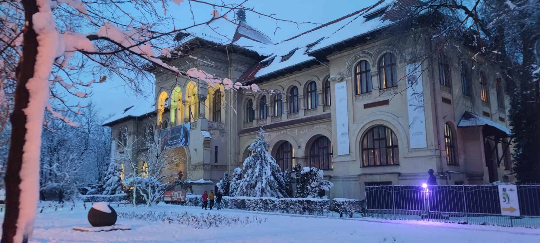 what to do with the child in Bucharest facade of the Geological Museum