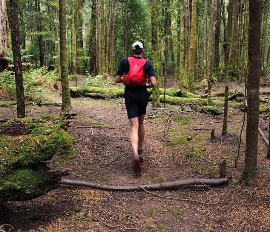 Preserving takayna: A Trail Running Experience for Conservation