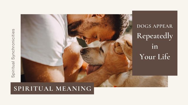 WHY DO DOGS APPEAR REPEATEDLY IN YOUR LIFE? 6 dogs repeatedly appear