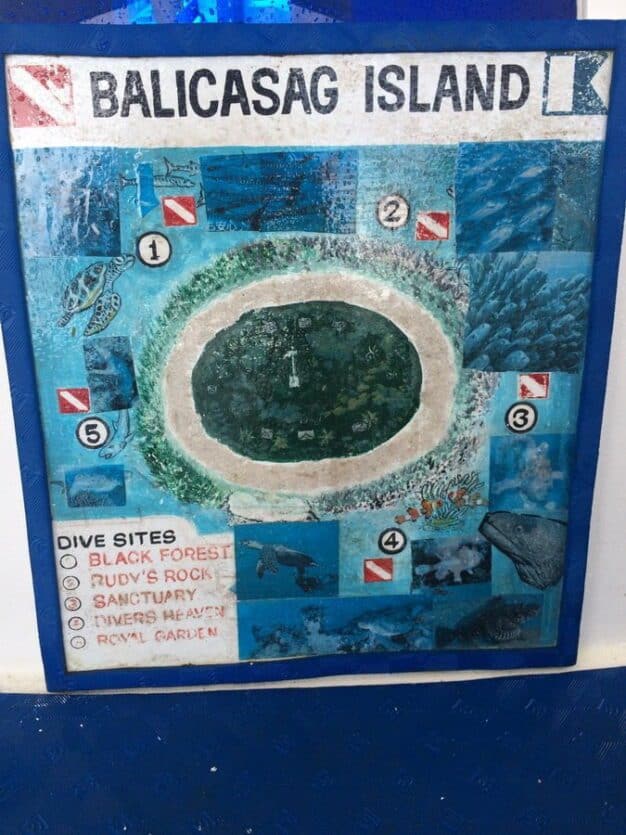 nurkowanie na filipinach