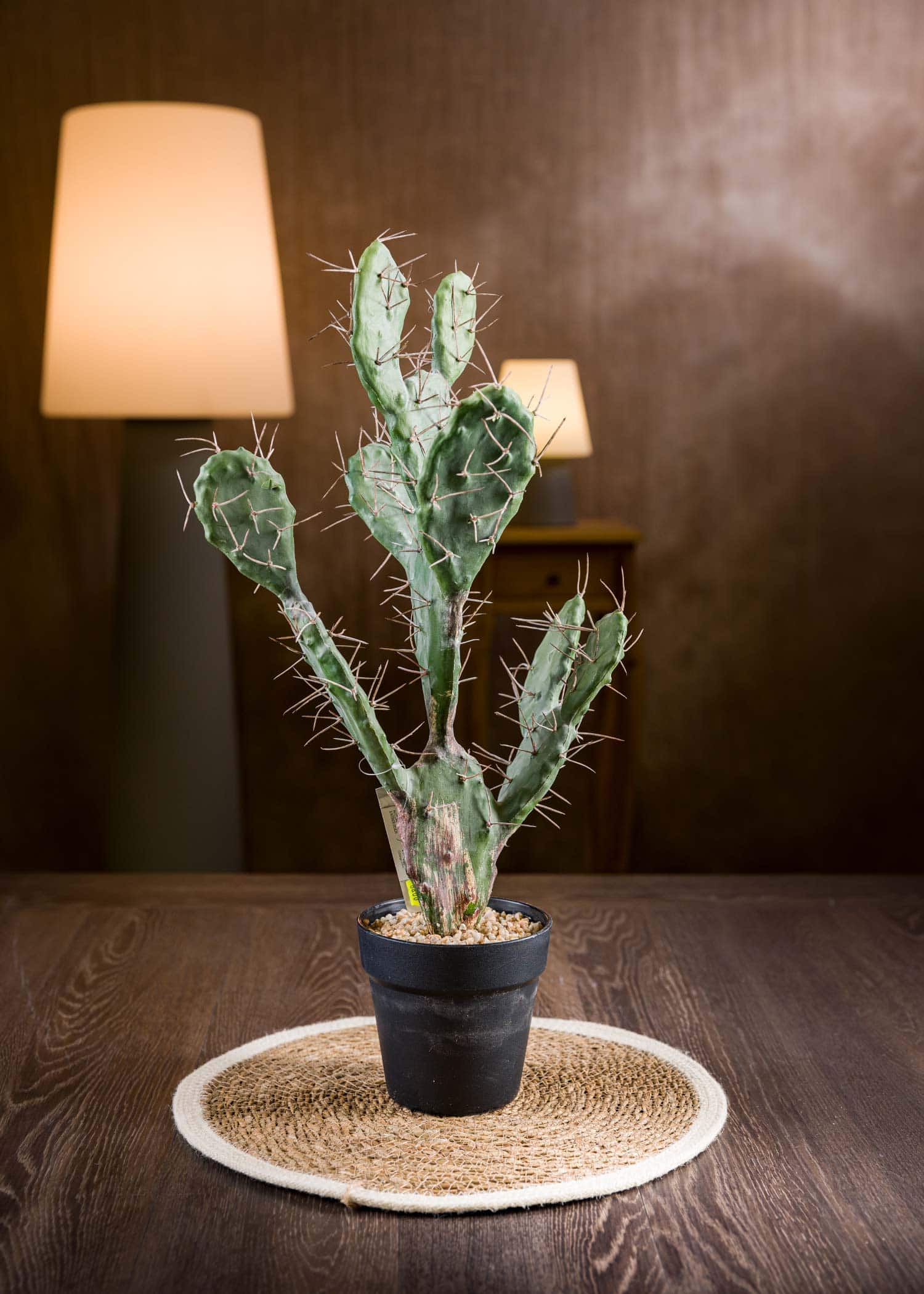 Piante di Cactus Finte - Realismo Senza Manutenzione